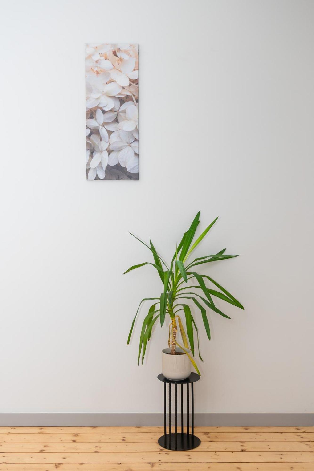 Apartament Cosy Homey Nook